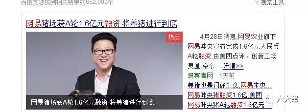 丁磊一头猪为什么卖20万