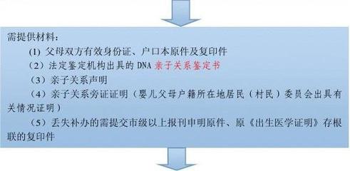 dna鉴定流程