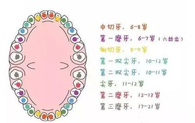 宝宝乳牙生长顺序错了