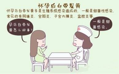 怀孕期间白带多