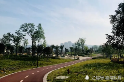 毕节市金沙县属于哪个省