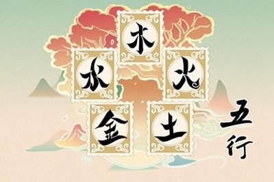 丽五行属什么