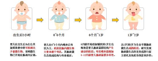 新生儿20天吃多少毫升