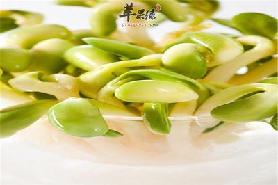 怀孕初期能吃绿豆芽吗