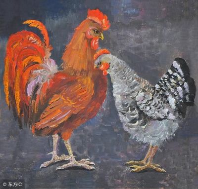 81年鸡是什么命