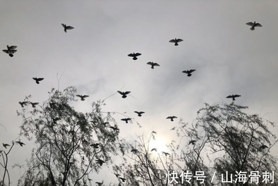 老人孤单怎么形容