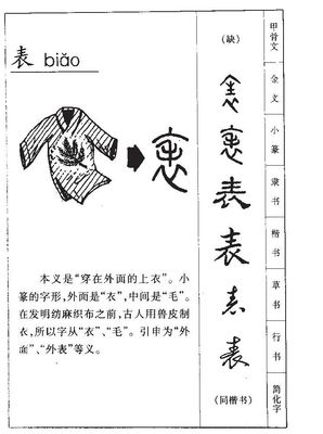 忠五行属什么