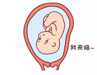 孕妇可以看新生儿吗
