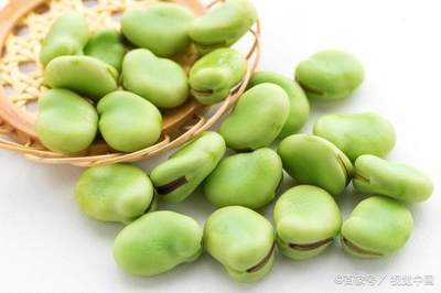 宝宝可以吃蚕豆吗