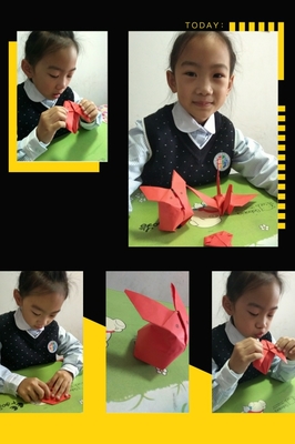 养小兔子折纸飞机视频下载