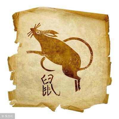 鼠 起名