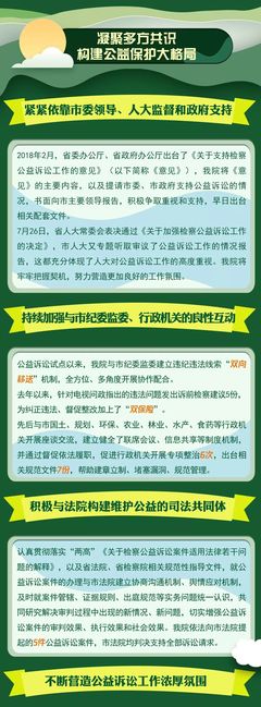 公益诉讼