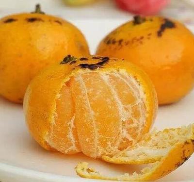 感冒咳嗽能不能吃橘子