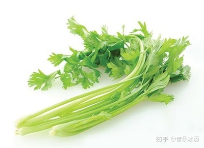 怀孕能吃芹菜