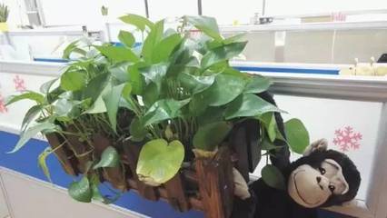 脸长痘痘能擦隔离吗