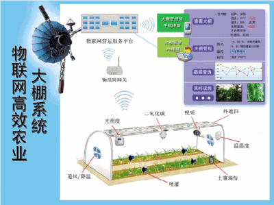 智慧农业形态是什么