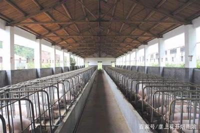 办养殖场需要哪些手续