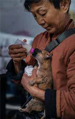 孕妇梦见吃米饭