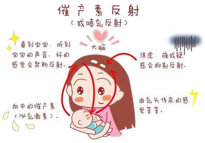 宝宝母乳不够吃的表现