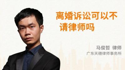 离婚不请律师可以起诉吗