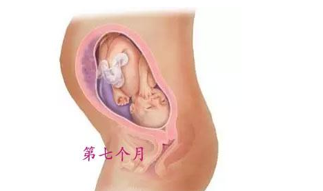 孕妇贫血会头疼吗