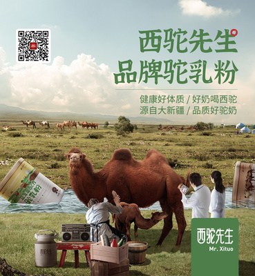 骆驼奶粉哪里有卖的
