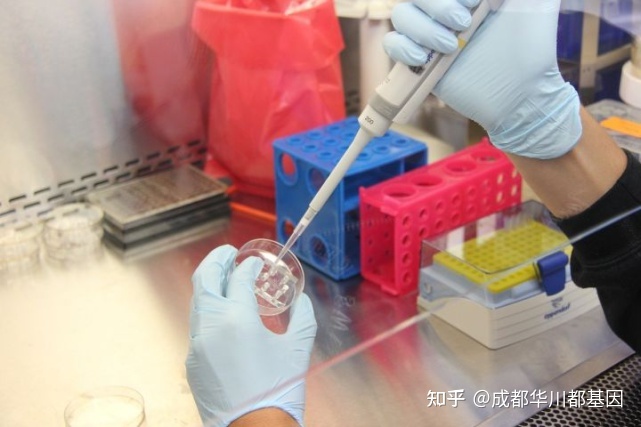 亲子鉴定多久出结果
