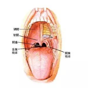 喉咙里面有白点是怎么回事