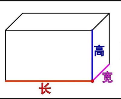 矩形面积怎么算