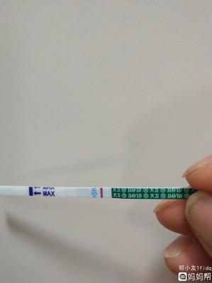 试纸 怀孕