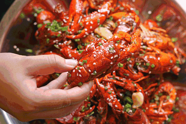 巴厘龙虾