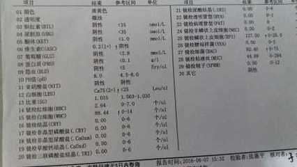 3个月婴儿白细胞正常值