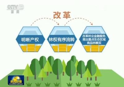 林权抵押贷款