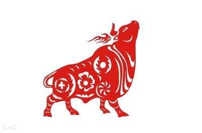 今年属牛的运气