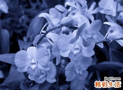罕见好听八字网名
