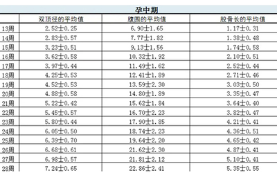怀孕胎儿大小对照表