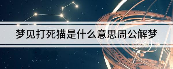 做梦梦到死猫