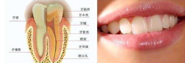 牙齿里面发黑是怎么回事