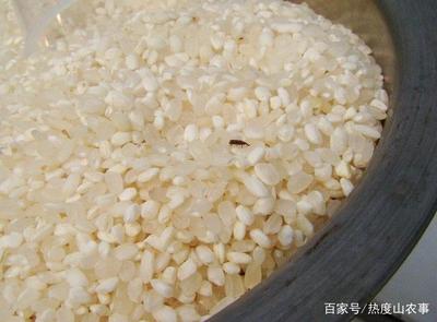怎样去掉米里面的米虫