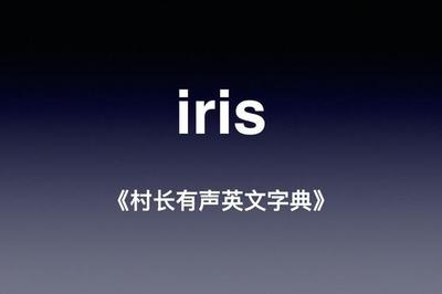 iris英文名含义