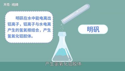 净化水加入明矾的作用