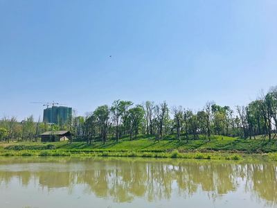 成都中和湿地最新消息