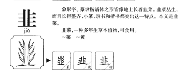 菜五行属什么