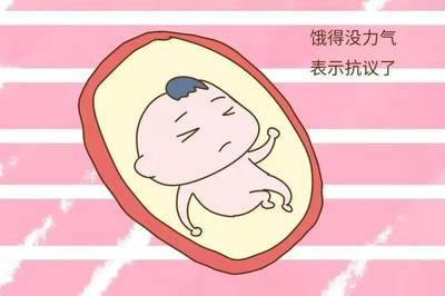 为什么肚子总是饿