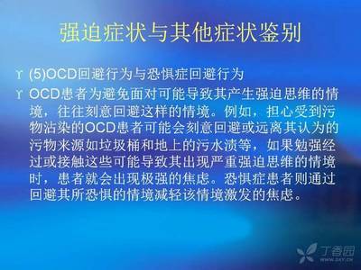 译的五行属性