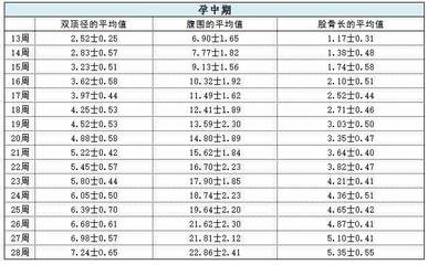 胎儿发育指标对照表