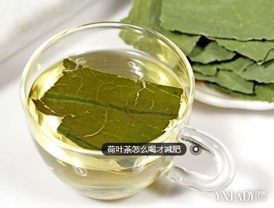 荷叶茶的减肥方法