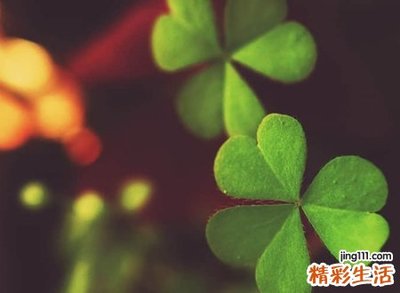 好听的男人微信昵称