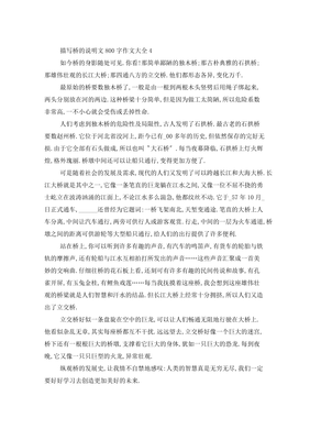 没有桥怎么办作文800字作文