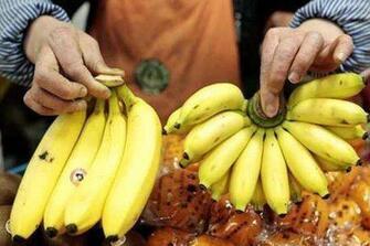 香蕉和芭蕉的区别